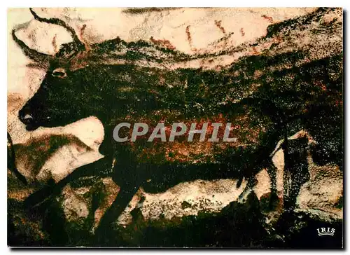 Cartes postales moderne Le Perigord Prehistorique Grotte de Lascaux