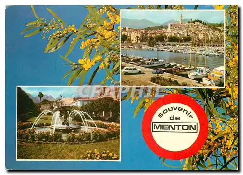 Cartes postales moderne La Cote d'Azur inoubliable Souvenir de Menton