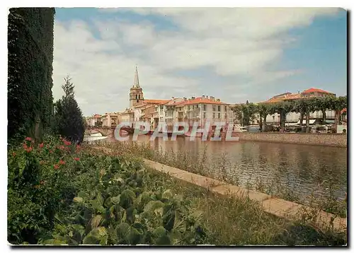 Cartes postales moderne Saint Girons Ariege Les Bords du Salat