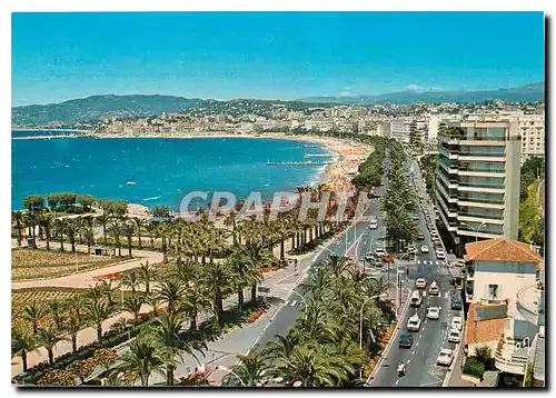 Cartes postales moderne La Cote d'Azur Cannes Alpes Maritimes La Roseraie la Croisette et le Suquet