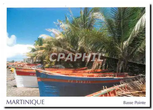 Cartes postales moderne Basse Pointe Martinique