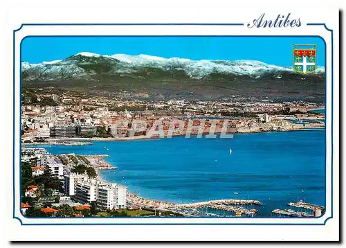 Cartes postales moderne Cote d'Azur Antibes Vue generale au fond les Alpes