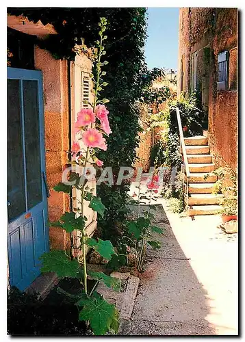 Cartes postales moderne Les Belles Images de Provence Vieille Rue de Provence