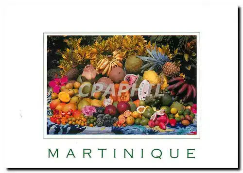 Cartes postales moderne Martinique Antilles francaises Fruits tropicaux