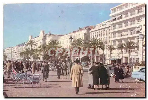 Cartes postales moderne Nice A M La Promenade des Anglais