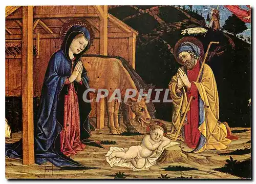 Cartes postales moderne Avignon Vaucluse Musee du petit Palais