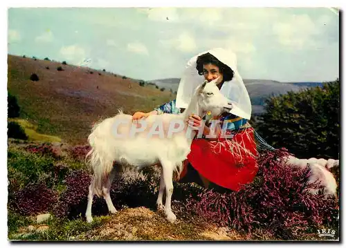 Moderne Karte Le Limosin Pittoresque Les Monedieres Au pied des coteaux jolis Chevre