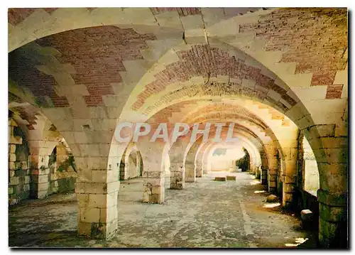 Cartes postales moderne Brouage Chte Mme Ville fortifiee La Halle aux vivres