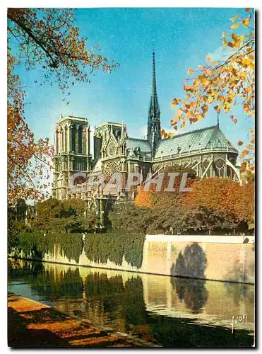 Cartes postales moderne Couleurs et Lumiere de France Paris Notre Dame