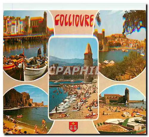 Cartes postales moderne Collioure P O Le Port l'Eglise Le  Chateau Fort et la ville