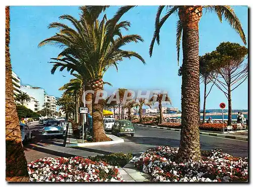 Cartes postales moderne Couleurs et Lumiere de France La Cote d'Azur Cannes Alpes Maritimes La Croisette