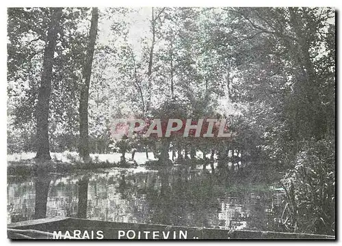 Cartes postales moderne Vacances PTT Oleron Marais Poitevin