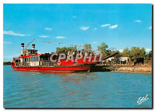 Cartes postales moderne Tiki Bateau de promenade en Camargue Les saintes maries de la Mer