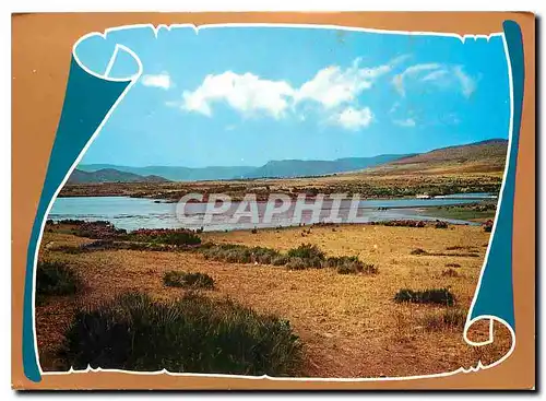 Cartes postales moderne Algerie Sedbou Barrage de Beni Bahdel