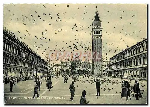 Cartes postales moderne Place St Marc et une volee de pigeons Venise