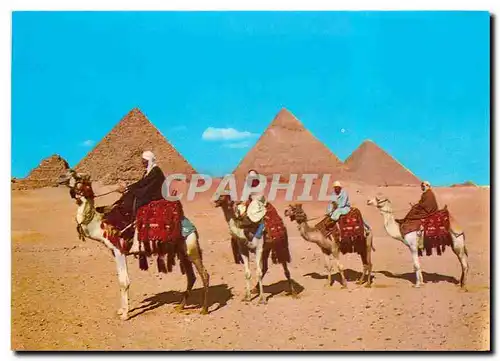 Cartes postales moderne Giza