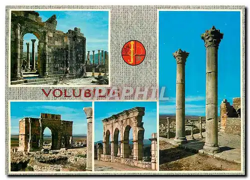 Cartes postales moderne Capitole et Basilique Judiciaire vus du Forum Arc de Triomphe de Caracalla Portique et Arc de Tr