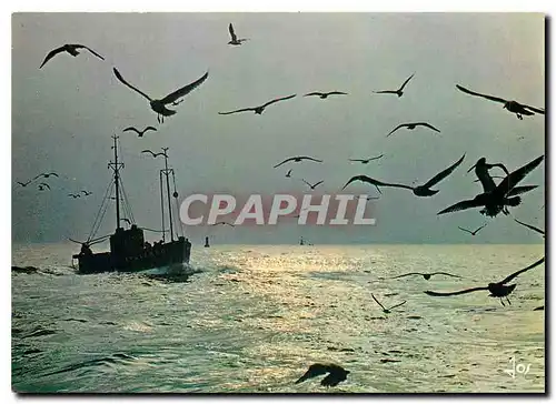 Moderne Karte Arrete de bourlinguer sur les mers noires Parie donc a cet oiseau qui te suit partoul Silviane l