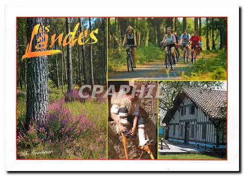 Cartes postales moderne Les Landes Pittoresques