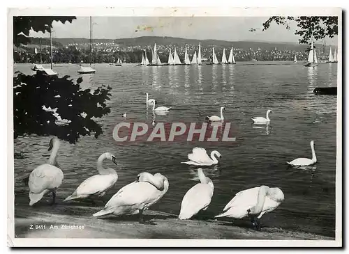 Cartes postales moderne Am Zurichsee