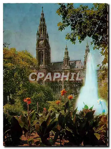 Cartes postales moderne Vienne Hotel de Ville