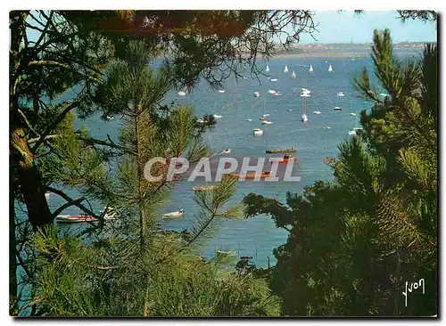 Cartes postales moderne Couleurs et Lumiere de France Bassin d'Arcachon Gironde Un tres joli coin du bassin pres de la P