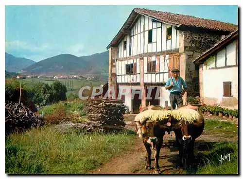 Cartes postales moderne Couleurs et Lumiere de France Les Pays Basque Ferme et attelage basques