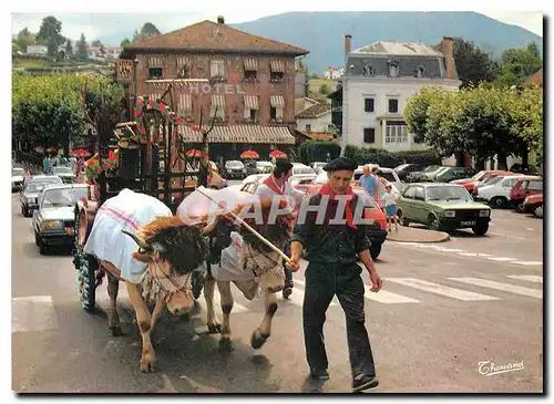 Cartes postales moderne Pays Basque Attelage un jour de fete