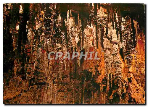 Cartes postales moderne Dans le circuit des gorges du Tarn et de la Jonte Grotte de l'Aven Armand Vue d'ensemble
