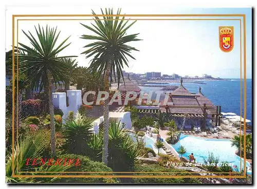 Cartes postales moderne Islas Canarias Playa de las Americas Tenerife