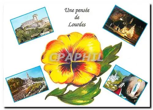 Cartes postales moderne Lourdes