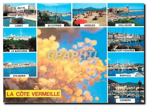 Cartes postales moderne Souvenir de la Cote Vermeille  Canet Le Barcares Ste Marie St Cyprien Aregeles Collioure Port Ve