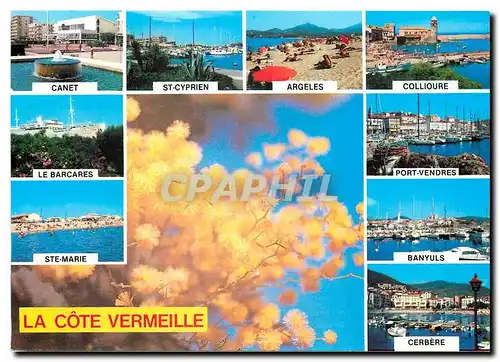 Moderne Karte Souvenir de la Cote Vermeille  Canet Le Barcares Ste Marie St Cyprien Aregeles Collioure Port Ve