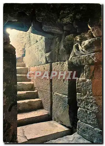 Cartes postales moderne Frenda Les Djedars Entree unique du Mausolee