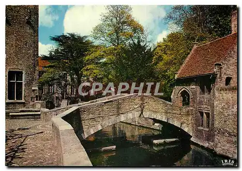 Cartes postales moderne Bruges Derriere Gruuthuuse