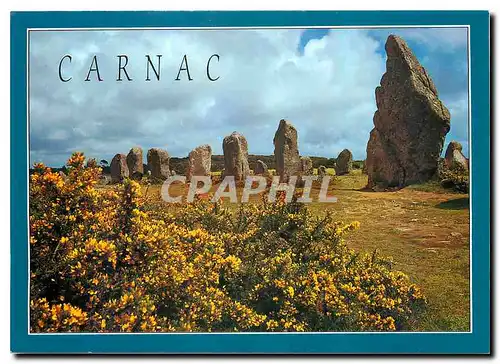 Cartes postales moderne La Bretagne en Couleur Carnac Les ajoncs et les menhirs