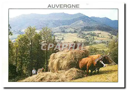 Cartes postales moderne Sur les Monts d'Auvergne La Fenaison