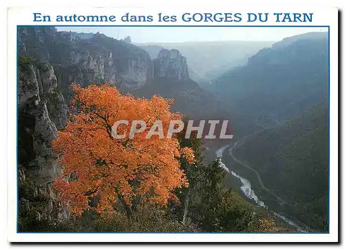 Moderne Karte Gorges du Tarn Lozere En automne les Corniches