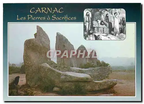 Cartes postales moderne Carnac Les alignements de Kermario