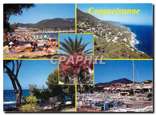 Cartes postales moderne Carqueiranne Lumiere et Beaute de la Cote d'Azur