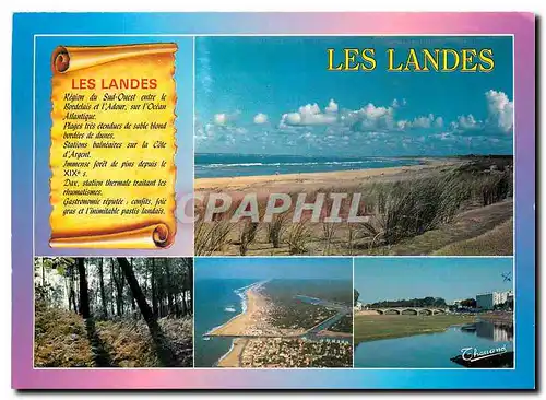 Moderne Karte Les Landes Cote Landaise Foret de pins Capbreton Hassegar Dax