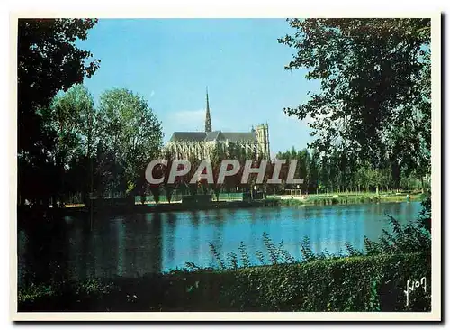 Cartes postales moderne Couleurs et Lumiere de France Amiens Somme La Cathedrale vue de l'Etang Saint Pierre