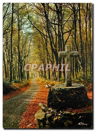 Moderne Karte Notre Belle France Vieille croix dans les bois de l'automne