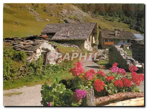 Moderne Karte Soleil et Montagne