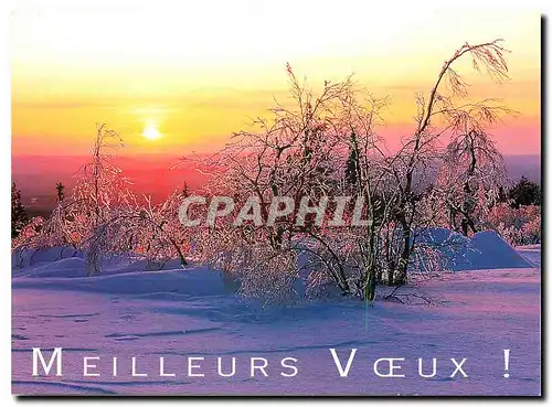 Cartes postales moderne V�ux