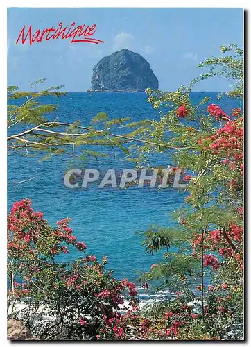Cartes postales moderne Martinique Rocher du Diamant