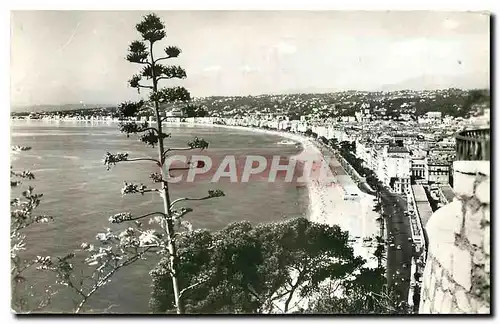 Cartes postales moderne Nice Vue generale prise du chateau