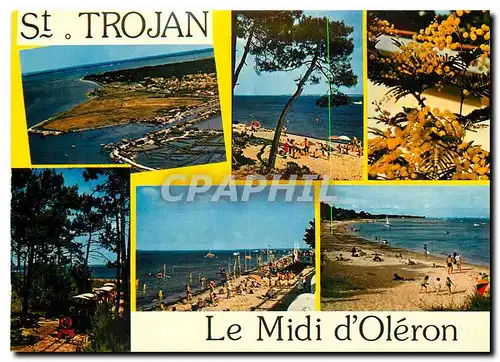 Cartes postales moderne Ile d'Oleron Saint Trojan Ses plages son port le petit train