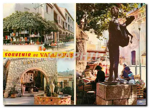 Cartes postales moderne Au Soleil de la Cote d'Azur Vallauris