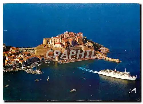 Cartes postales moderne Couleurs et Lumiere de France La Corse oasis de Beaute Calvi Sur son promantaire la Citadelle